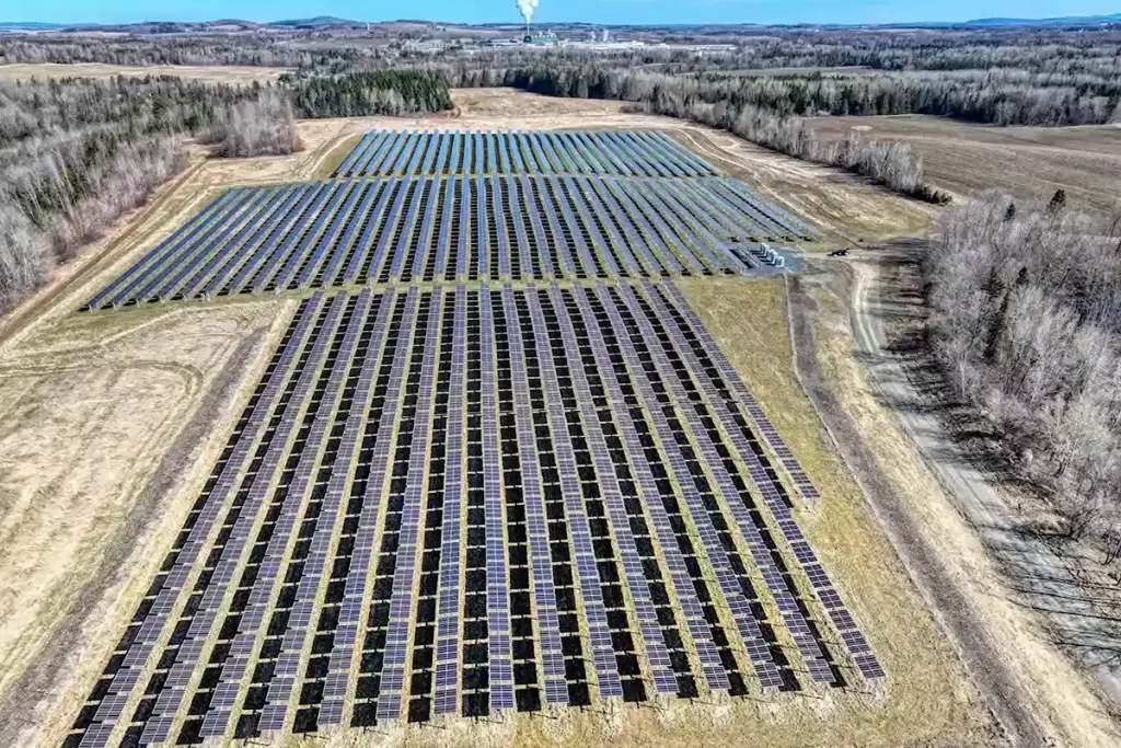 Solar panels in a field