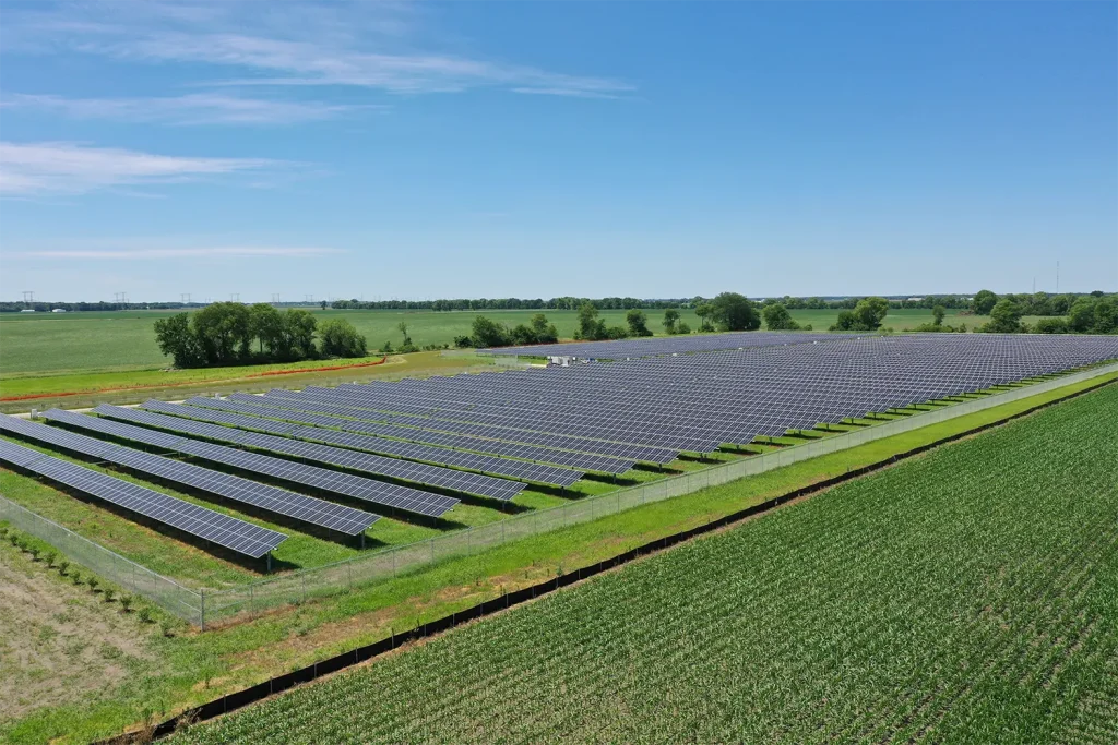 Solar panels in a field